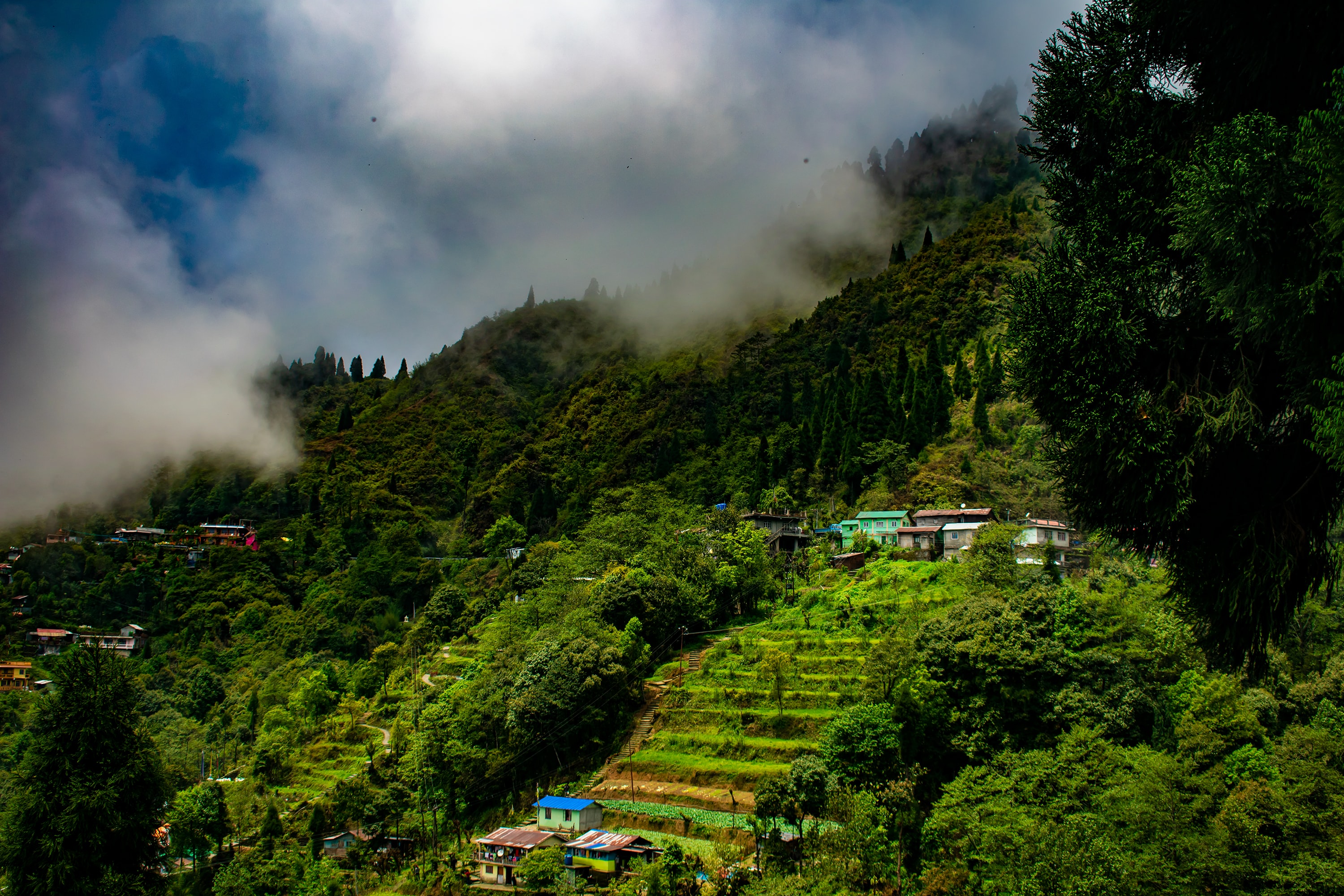 Bagdogra- Darjeeling - Gangtok â€“ Bagdogra 6 Days
