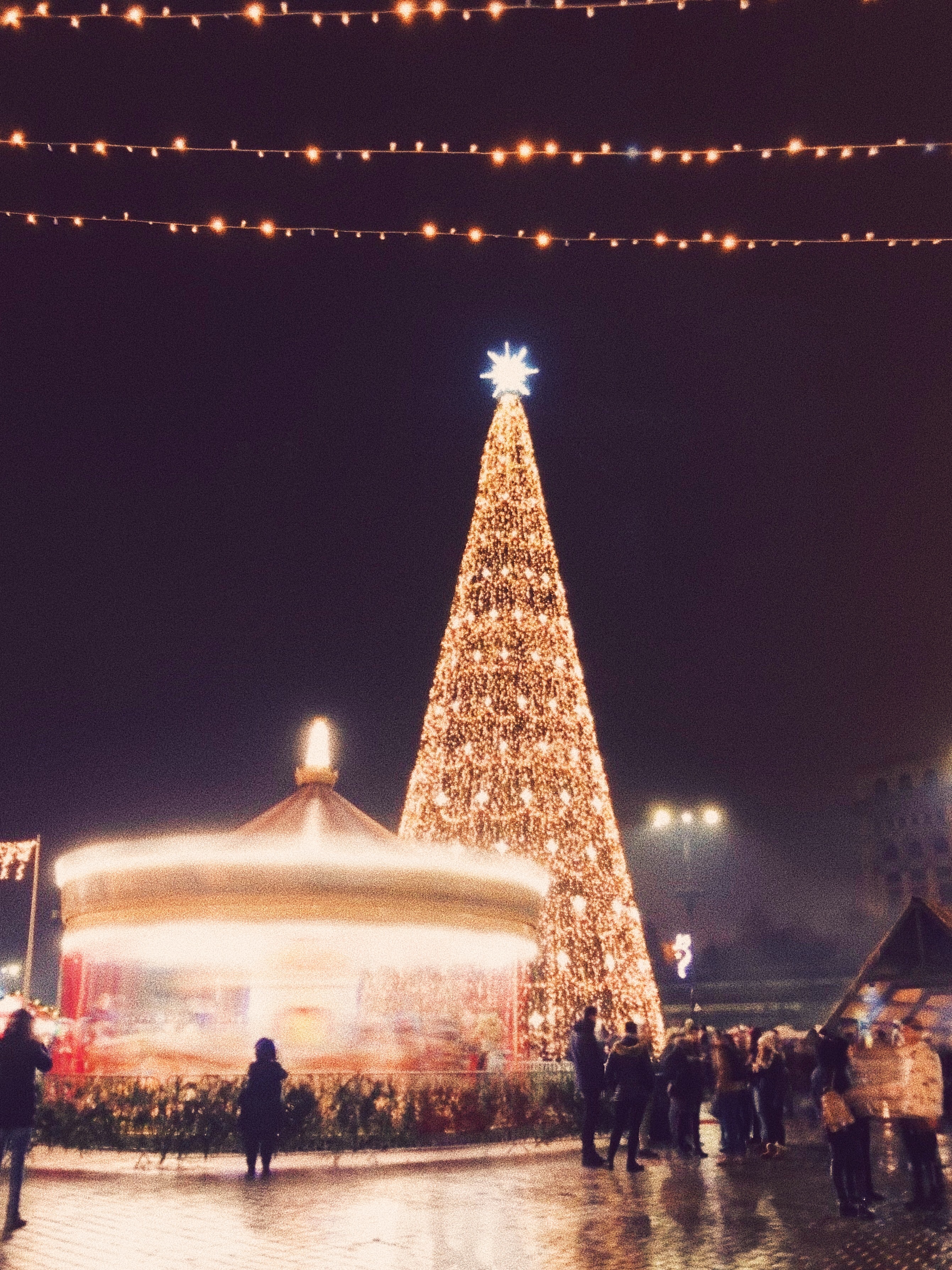 6 Days Scandinavian Christmas Markets